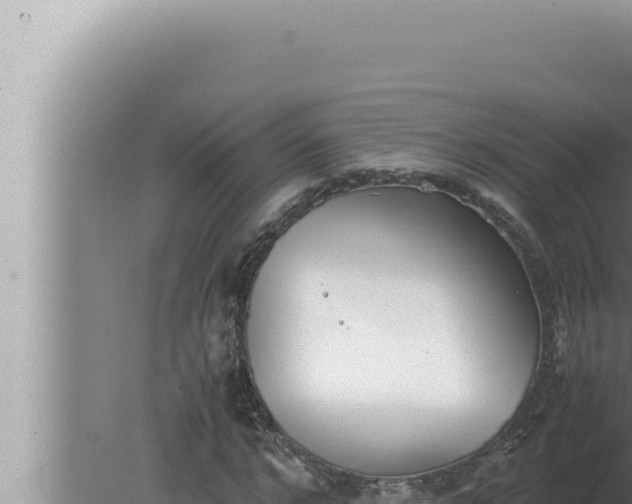 X0000080110968200612221800