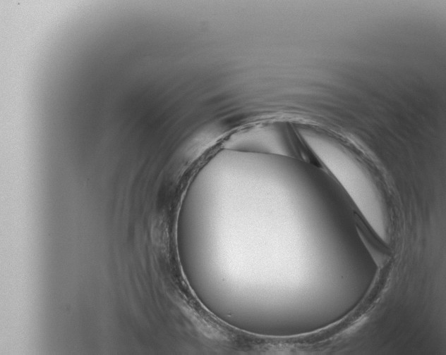 X0000080110969200612221800