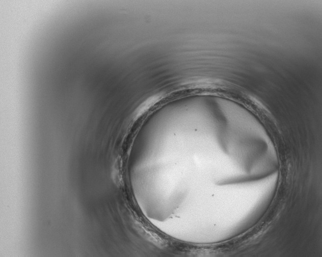 X0000080110970200612221800