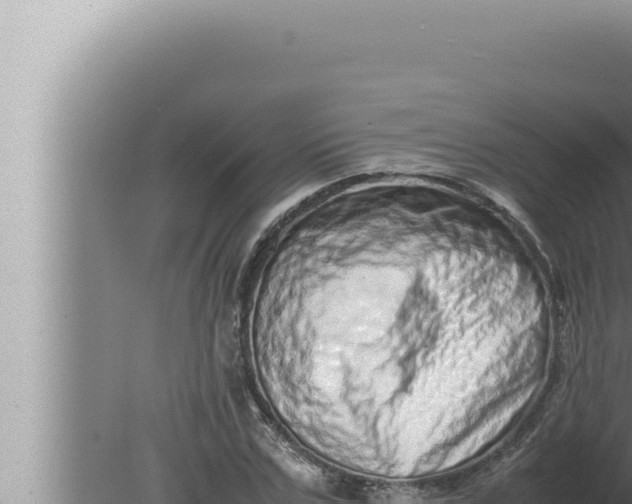 X0000080110971200612221800