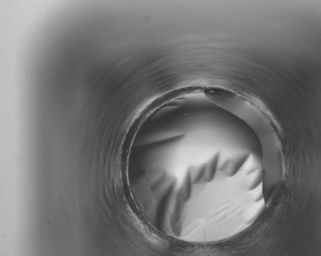 X0000080110972200612221800