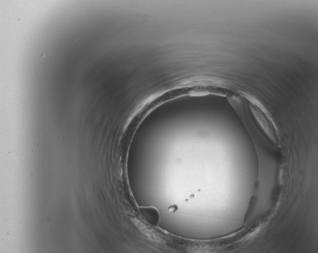 X0000080110973200612221800