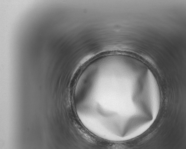 X0000080110974200612221800