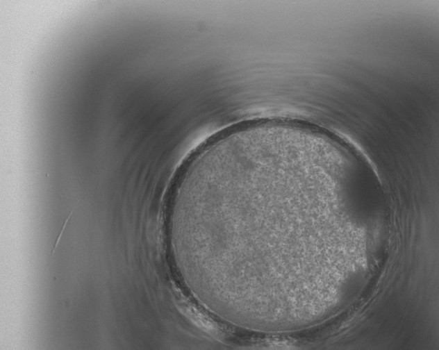 X0000080110975200612221800