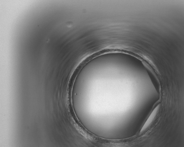 X0000080110976200612221800