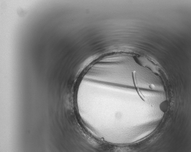 X0000080110978200612221800