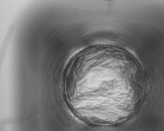 X0000080110979200612221800