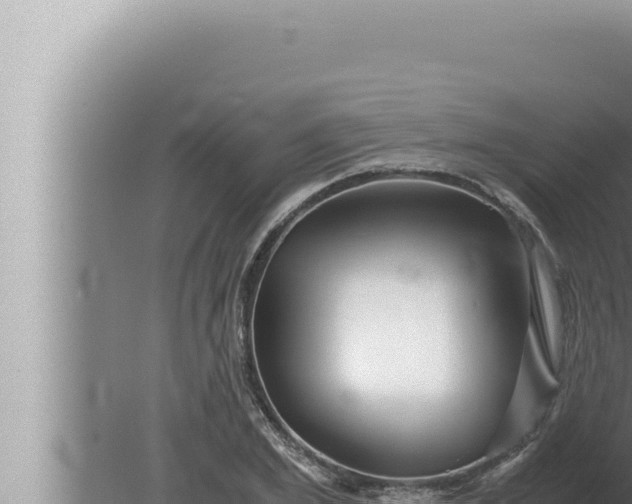 X0000080110981200612221800