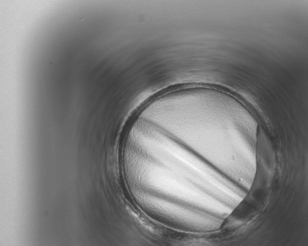 X0000080110982200612221800