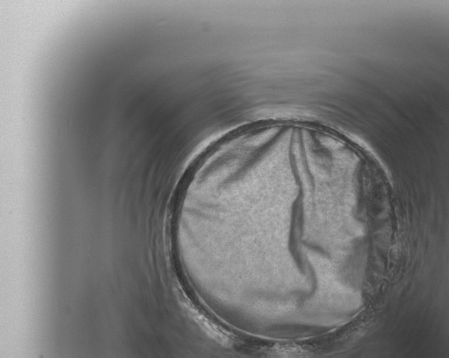 X0000080110983200612221800