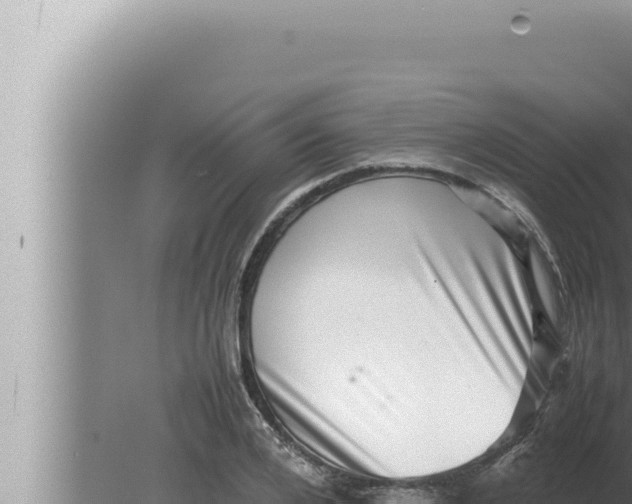 X0000080110984200612221800