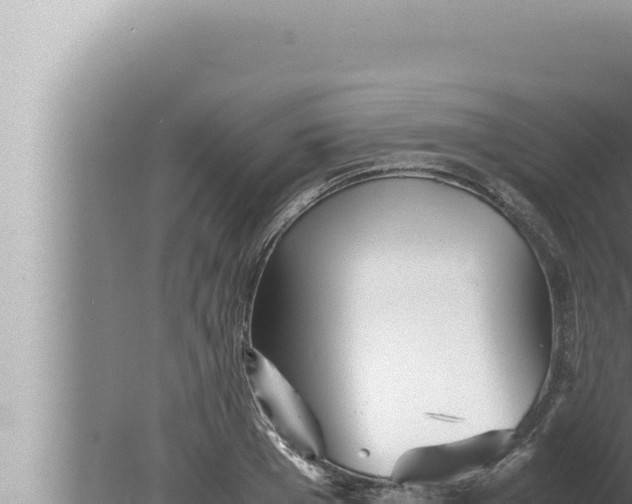 X0000080110985200612221800