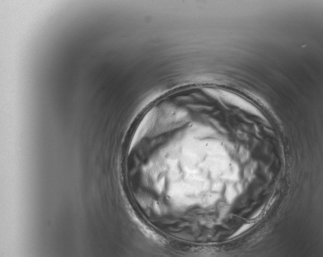 X0000080110991200612221800