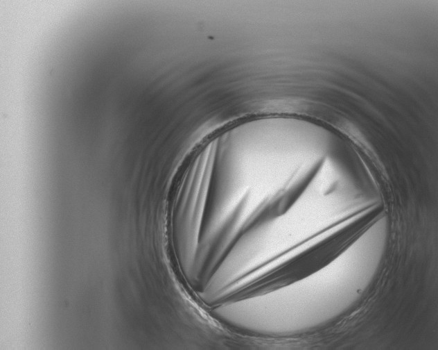 X0000080110992200612221800