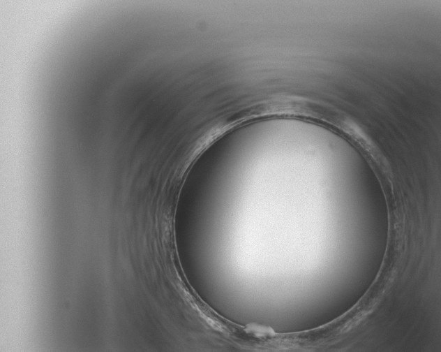 X0000080110993200612221800