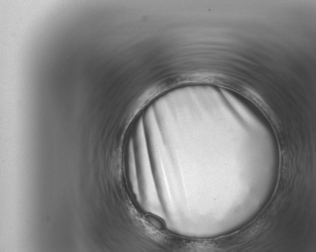 X0000080110994200612221800