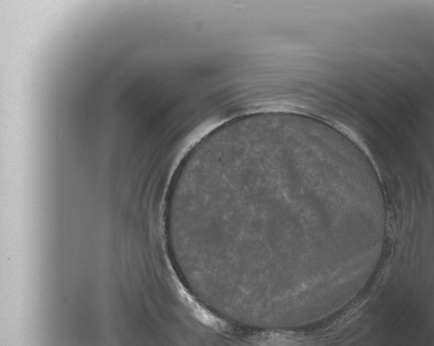 X0000080110995200612221800