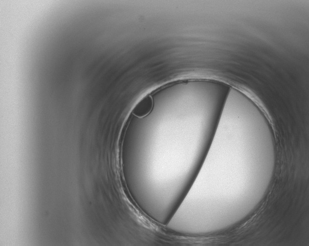 X0000080110996200612221800