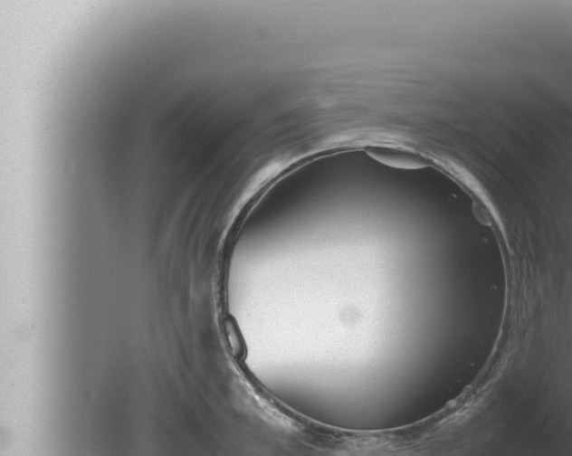 X0000080110997200612221800