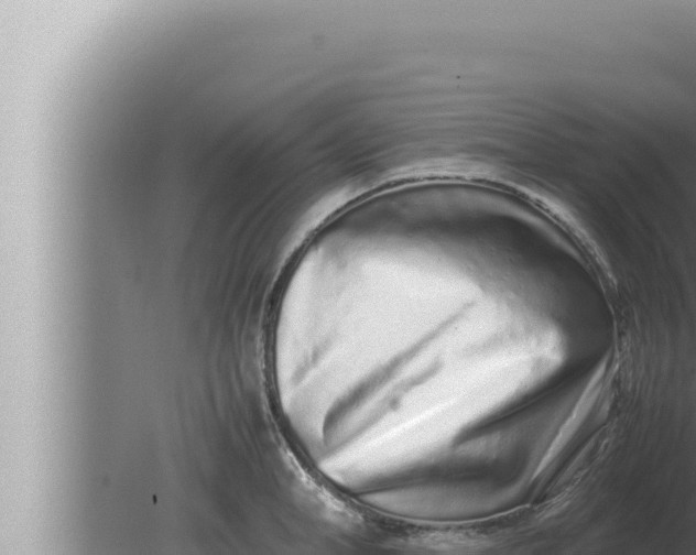 X0000080110998200612221800