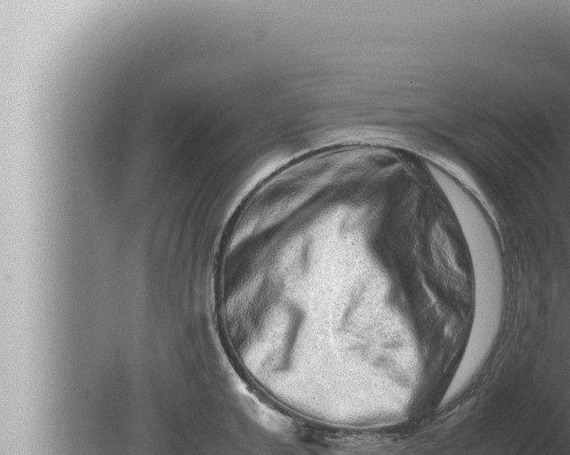 X0000080110999200612221800