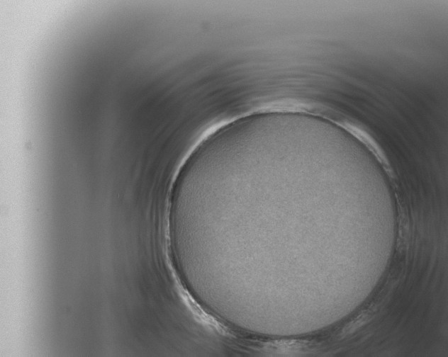 X0000080111000200612221800