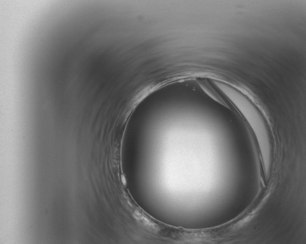 X0000080111001200612221800