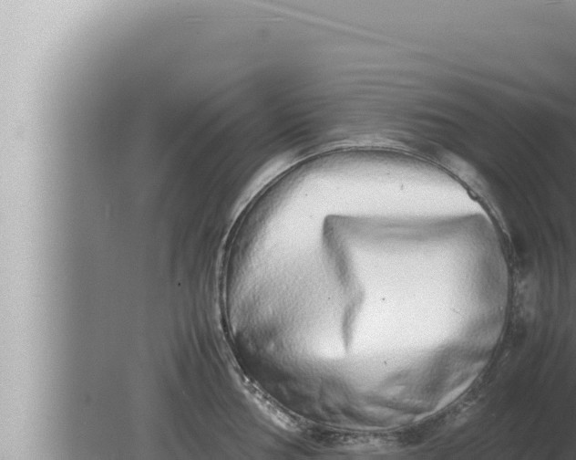 X0000080111002200612221800