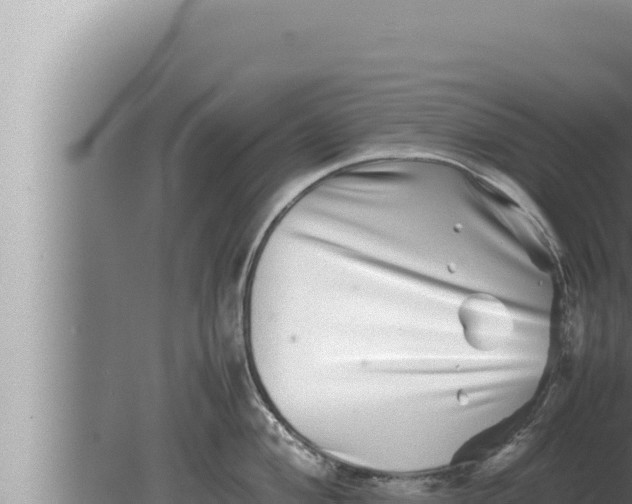 X0000080111004200612221800