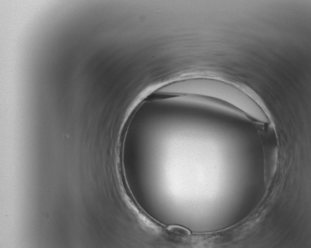 X0000080111005200612221800