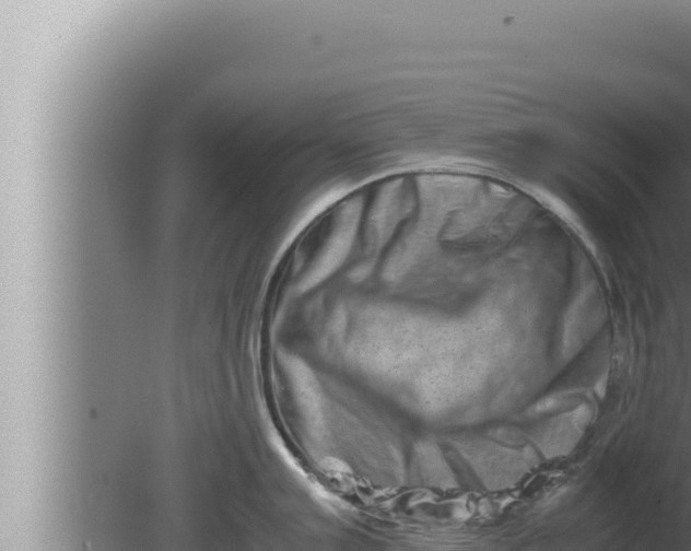 X0000080111007200612221800