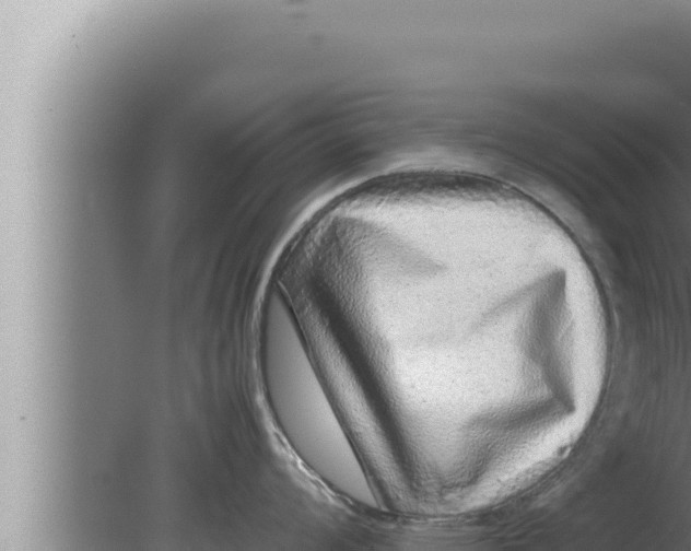 X0000080111008200612221800