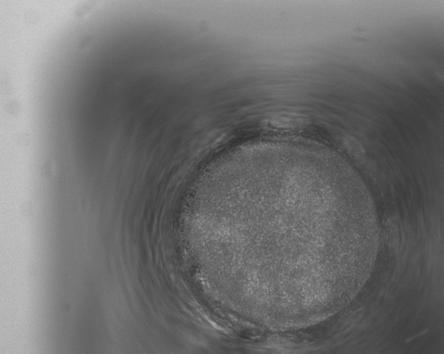 X0000080111009200612221759