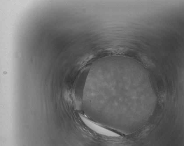 X0000080111010200612221759