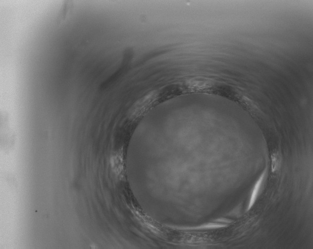 X0000080111011200612221759