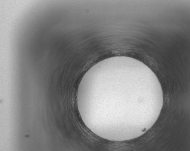 X0000080111012200612221759