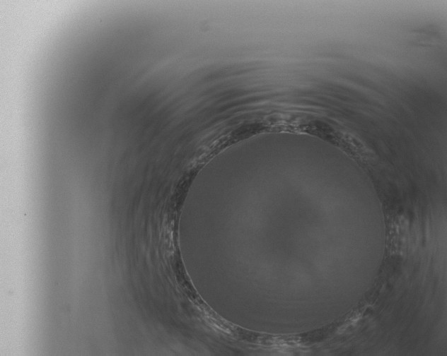 X0000080111013200612221759