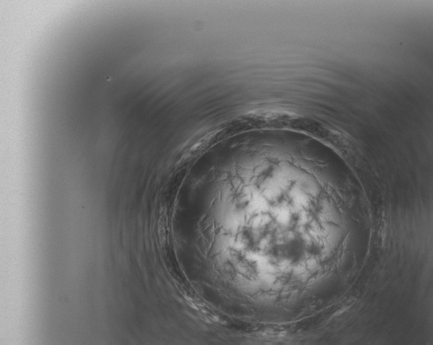 X0000080111014200612221759