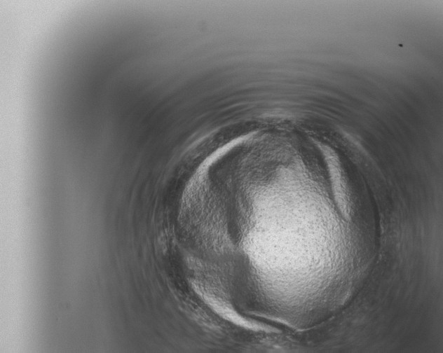 X0000080111015200612221759