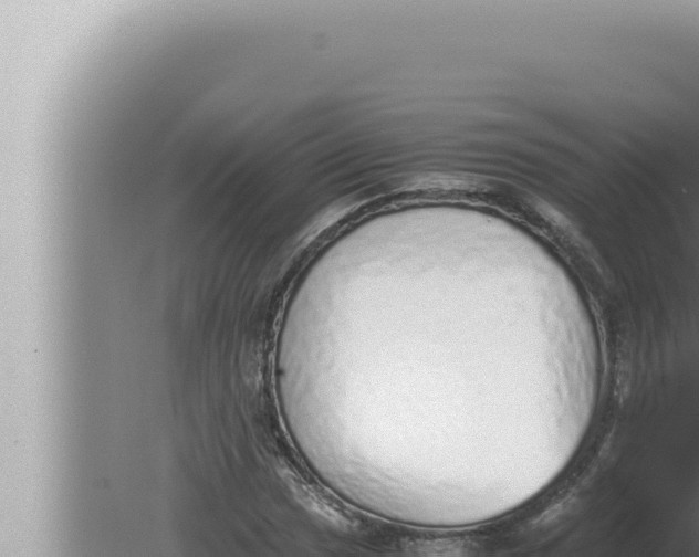 X0000080111017200612221759