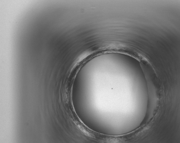 X0000080111018200612221759