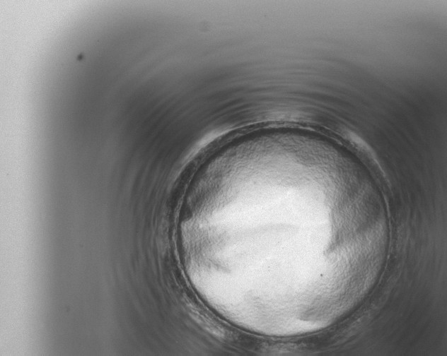 X0000080111019200612221759