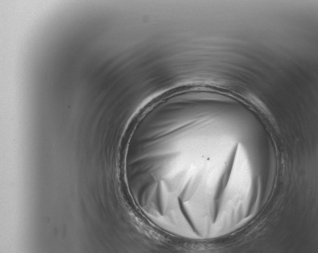 X0000080111020200612221759