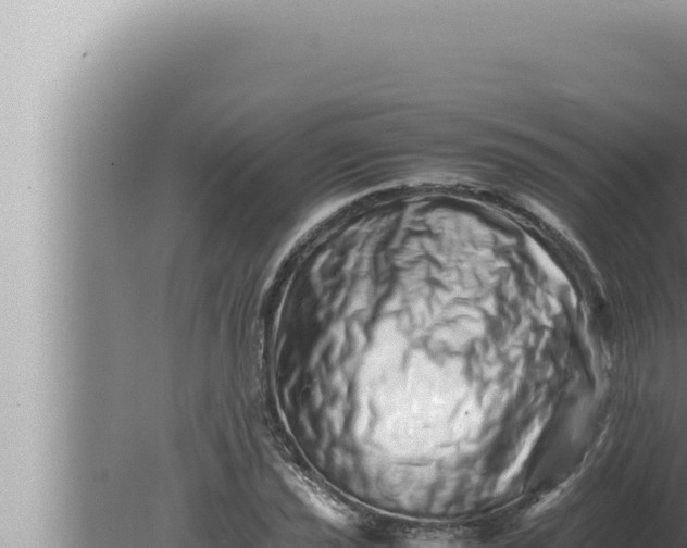 X0000080111021200612221759