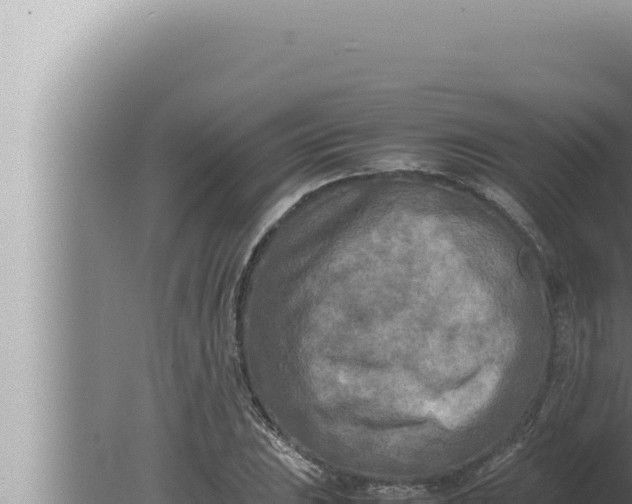 X0000080111023200612221759