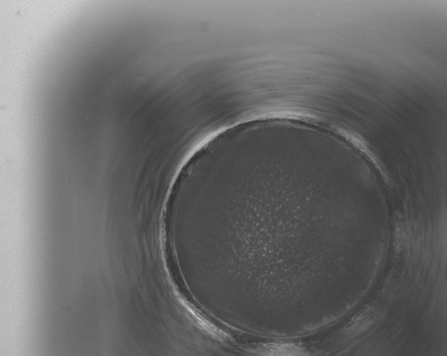 X0000080111024200612221759