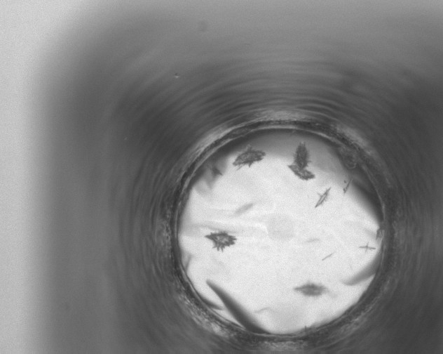 X0000080111025200612221759