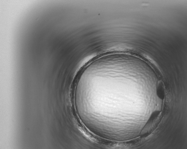 X0000080111026200612221759