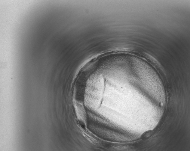 X0000080111027200612221759