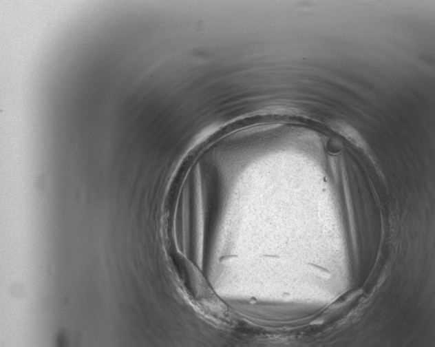 X0000080111029200612221759